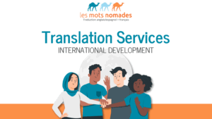 Picture International Development brochure